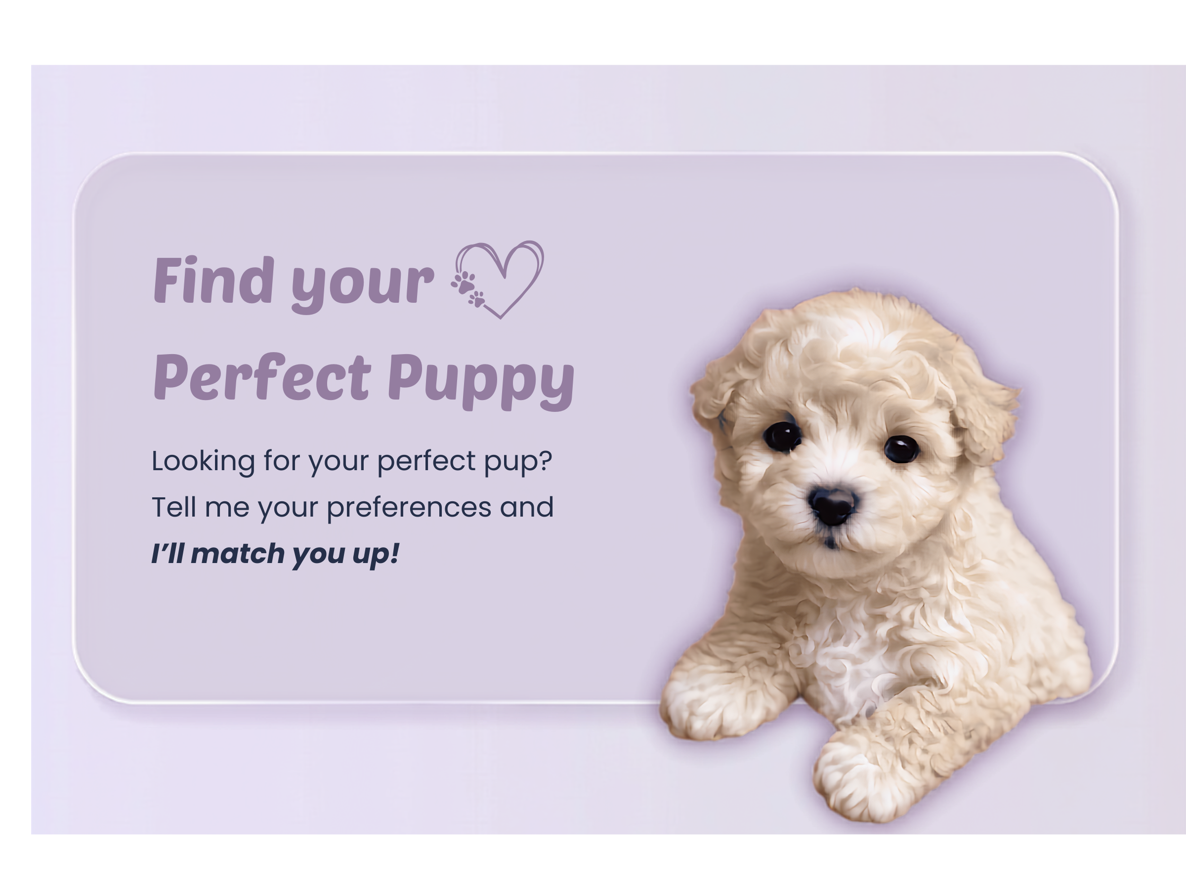 Puppy Preferences Header Card